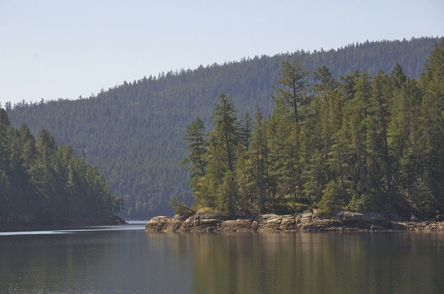 Calm protected inlet with rocky shoreline and dense evergreen forest, Desolation Sound, BC